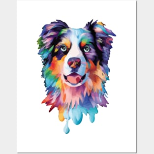 Colourful Australian Shepherd Dog Posters and Art